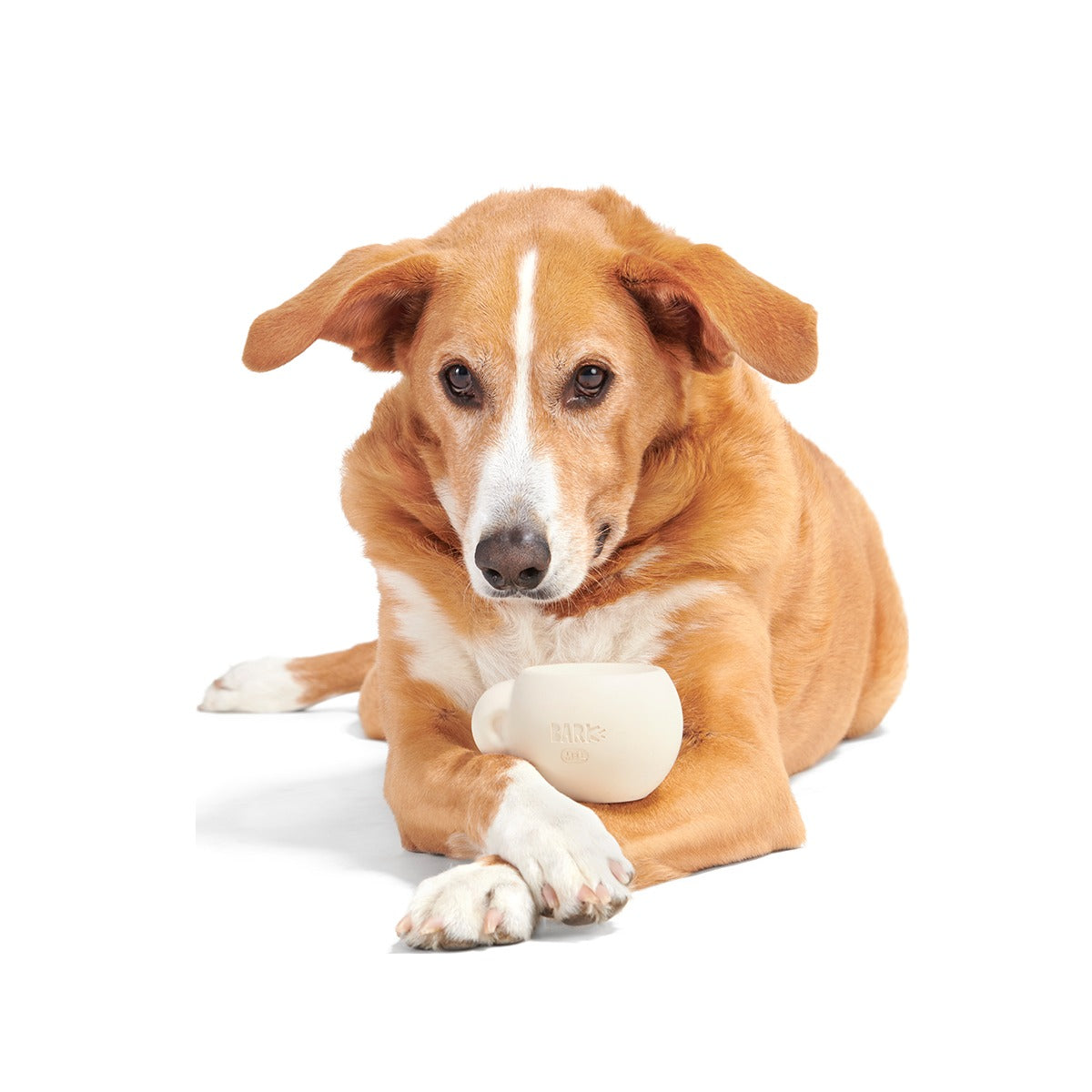 Yappucino Super Chewer Durable Enrichment Dog Toy