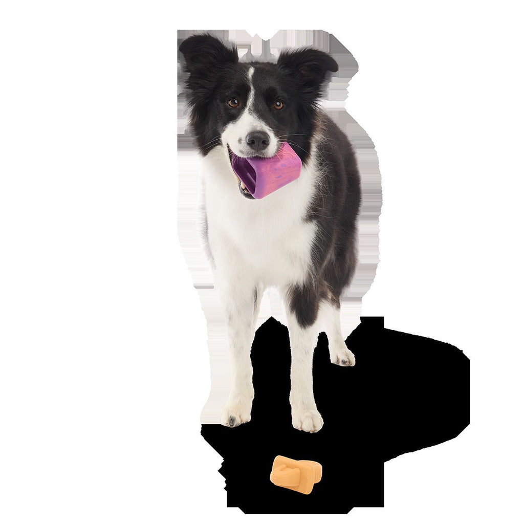 Chill N' Chomp Ice Pop Kit Super Chewer Durable Enrichment Dog Toy