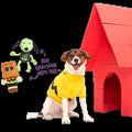 PeanutsTM Halloween Bundle