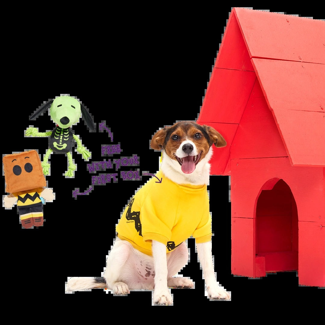 PeanutsTM Halloween Bundle