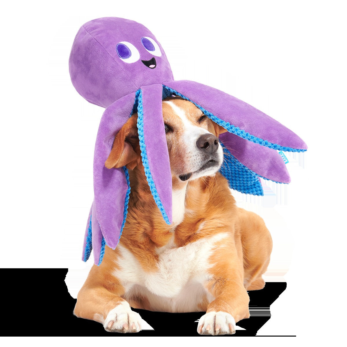 Mondo Ollie the Octopus Plush Tug + Extra-Large Dog Toy