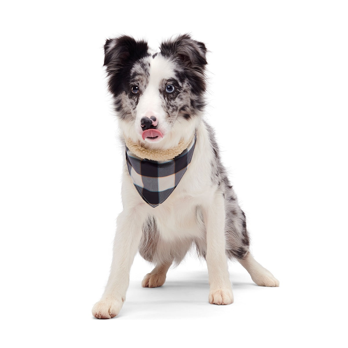 Plaid To The Bone Dog Bandana