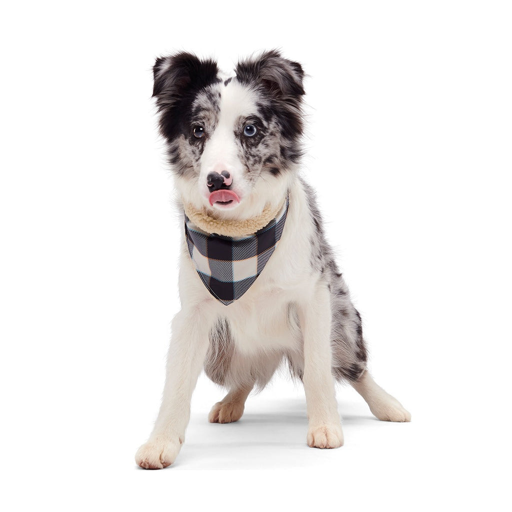 Plaid To The Bone Dog Bandana