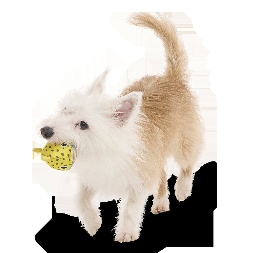 Blowfetch Super Chewer Durable 2-in-1 + Fetch Dog Toy