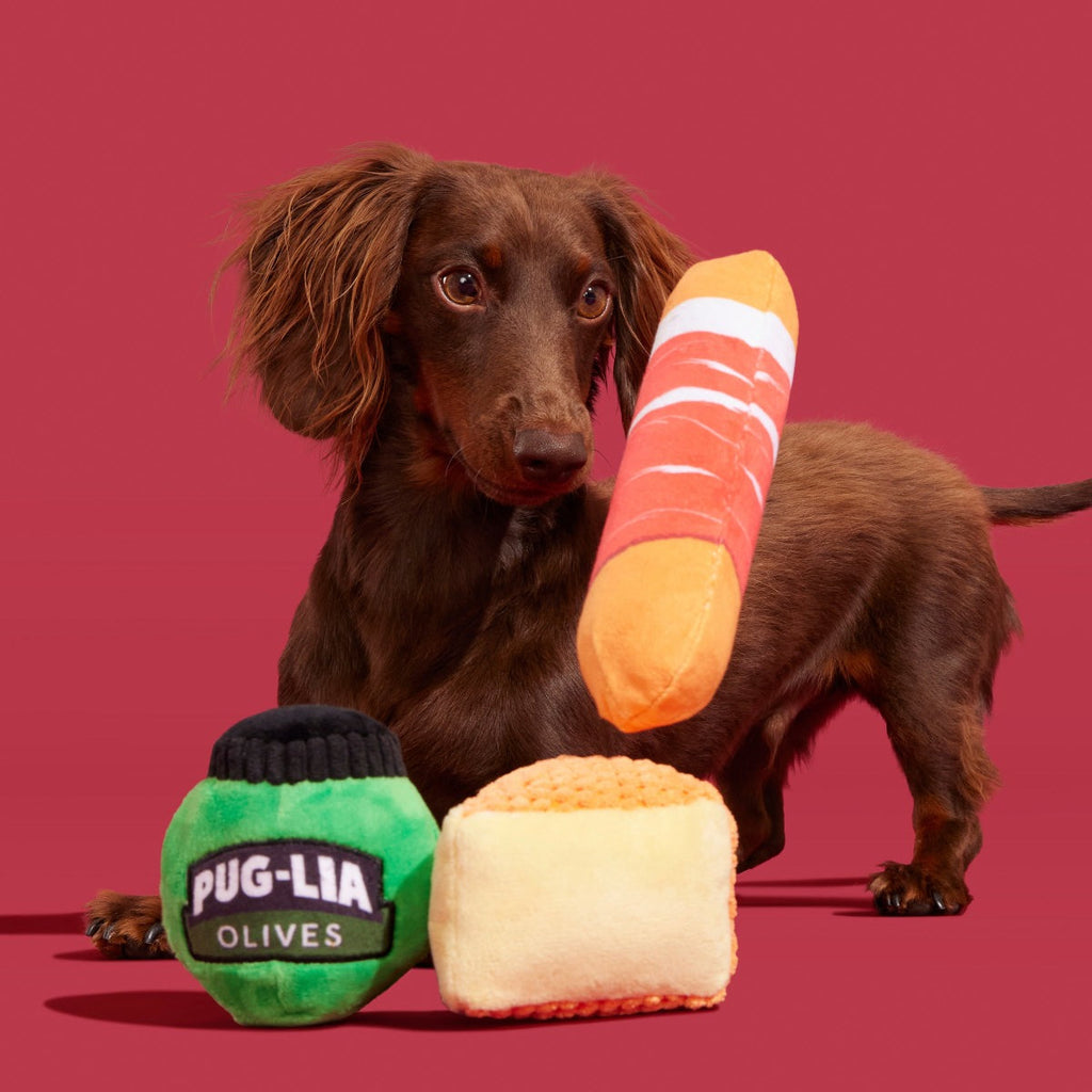 Primo Pawsto Plush Multi-Part Dog Toy