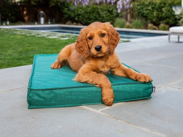 Outdoor Dog Bed