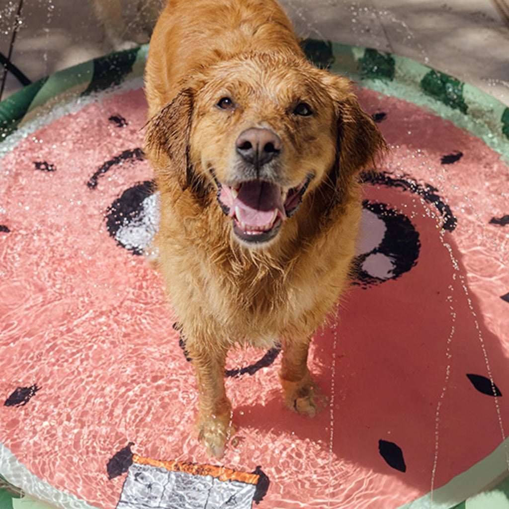 FUNBOY Splash Pad