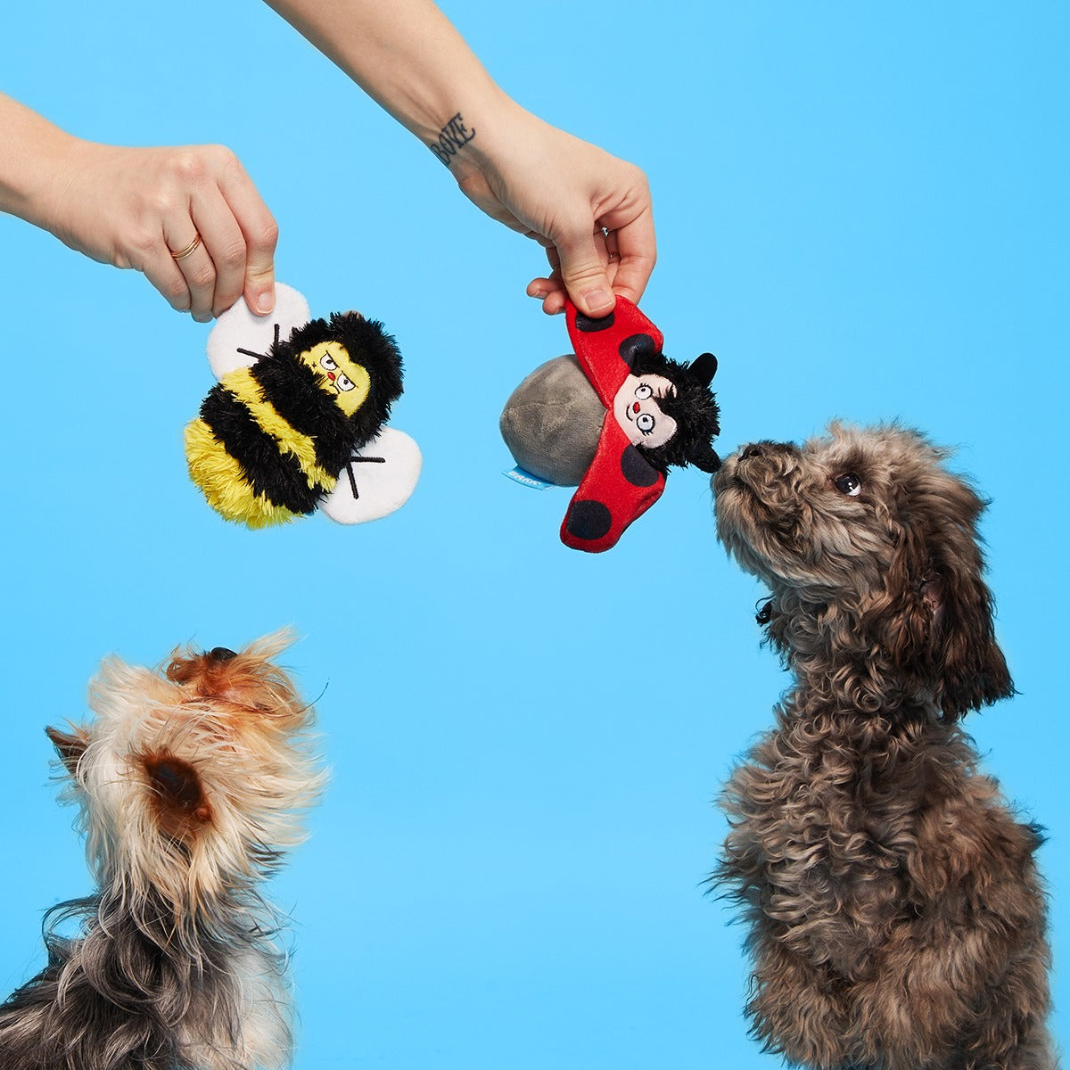 Simone & Jean-Paul The Love Bugs Plush Multi-Part + Fetch Dog Toy