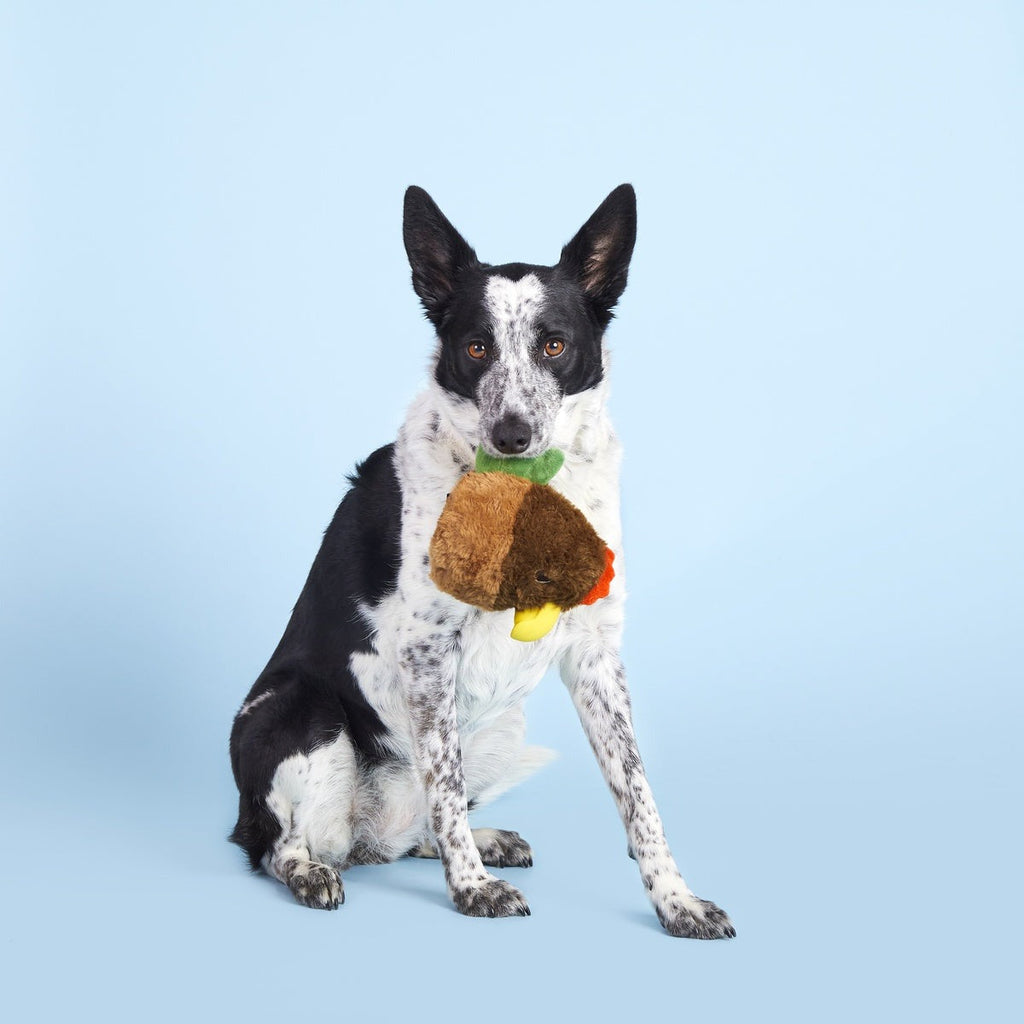 Fowl Play Super Chewer Durable 2-in-1 + Enrichment Dog Toy