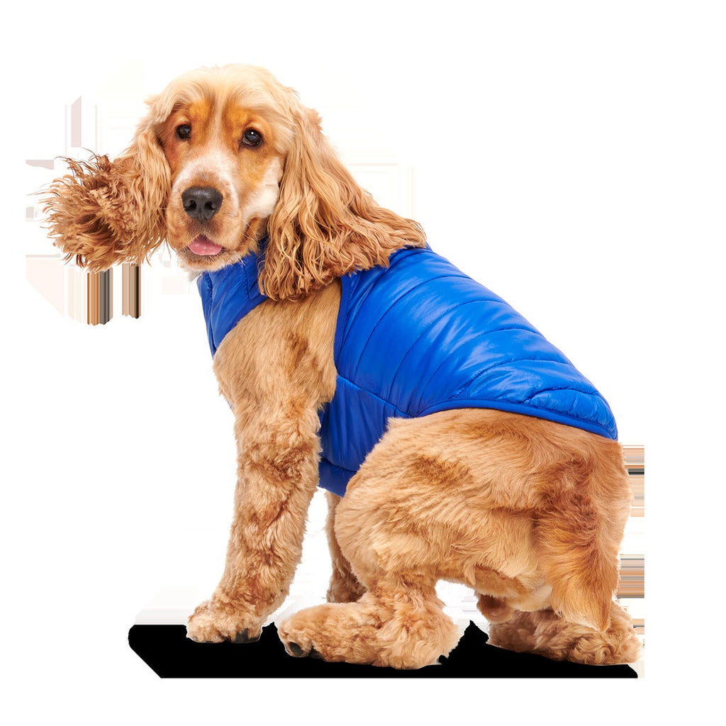 Puffer Dog Vest