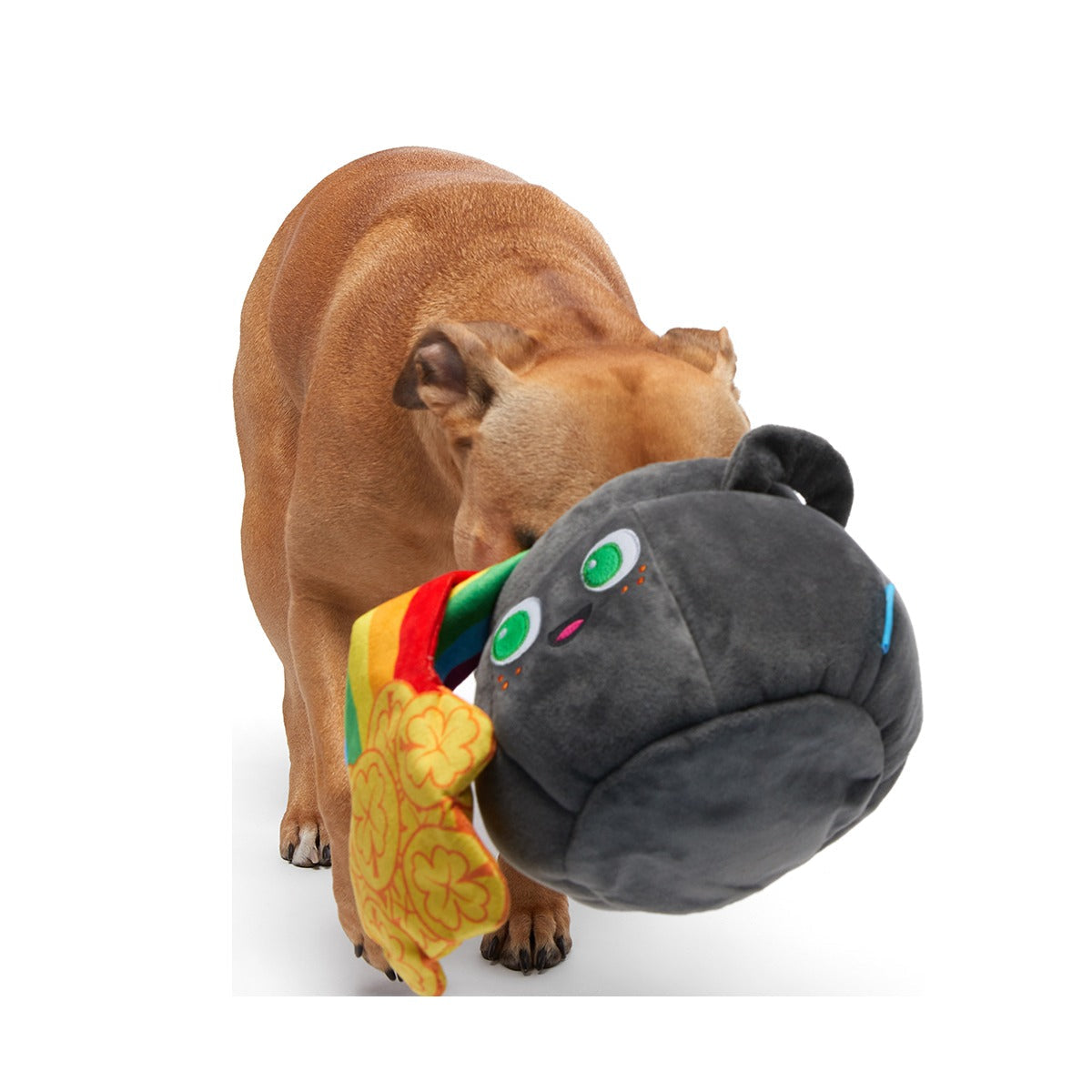 St. Pup's Pot o' Gold Plush Tug + Enrichment Dog Toy