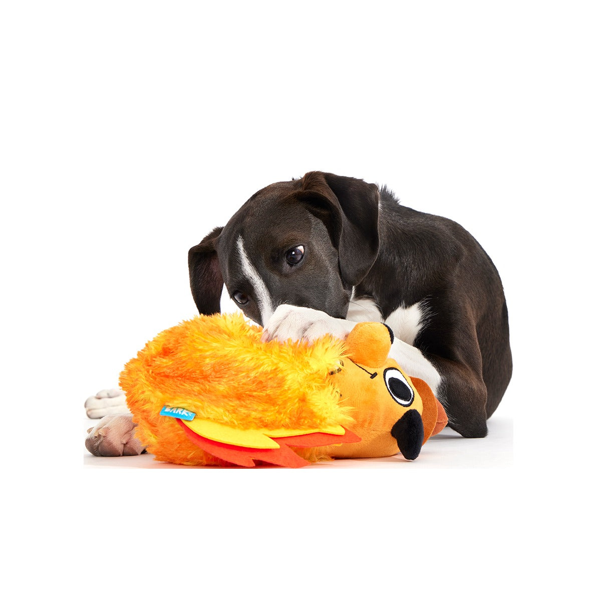 This is Fine Plush Multi-Part + Enrichment Dog Toy