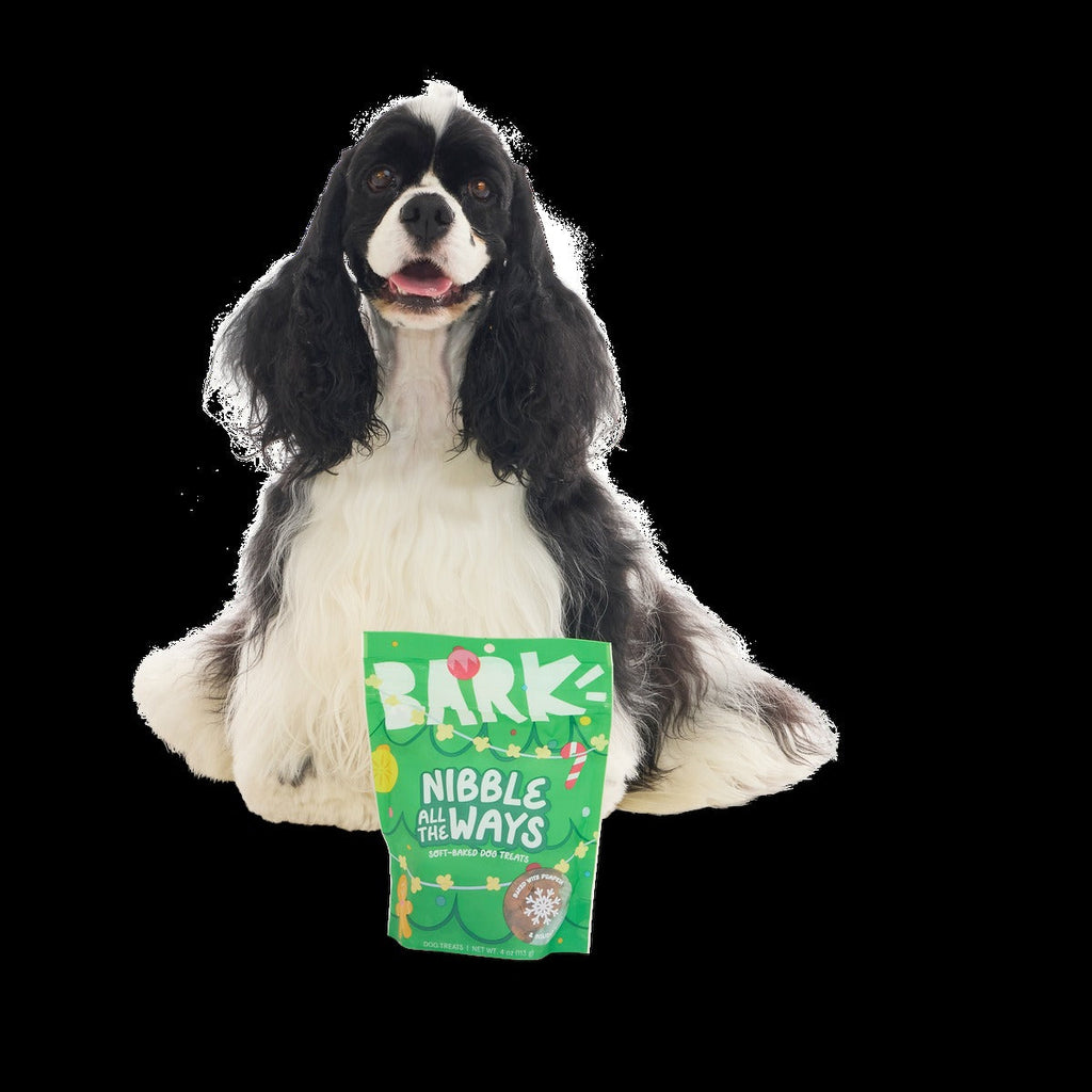 Elf Dog Toy & Treat Holiday Gift Box