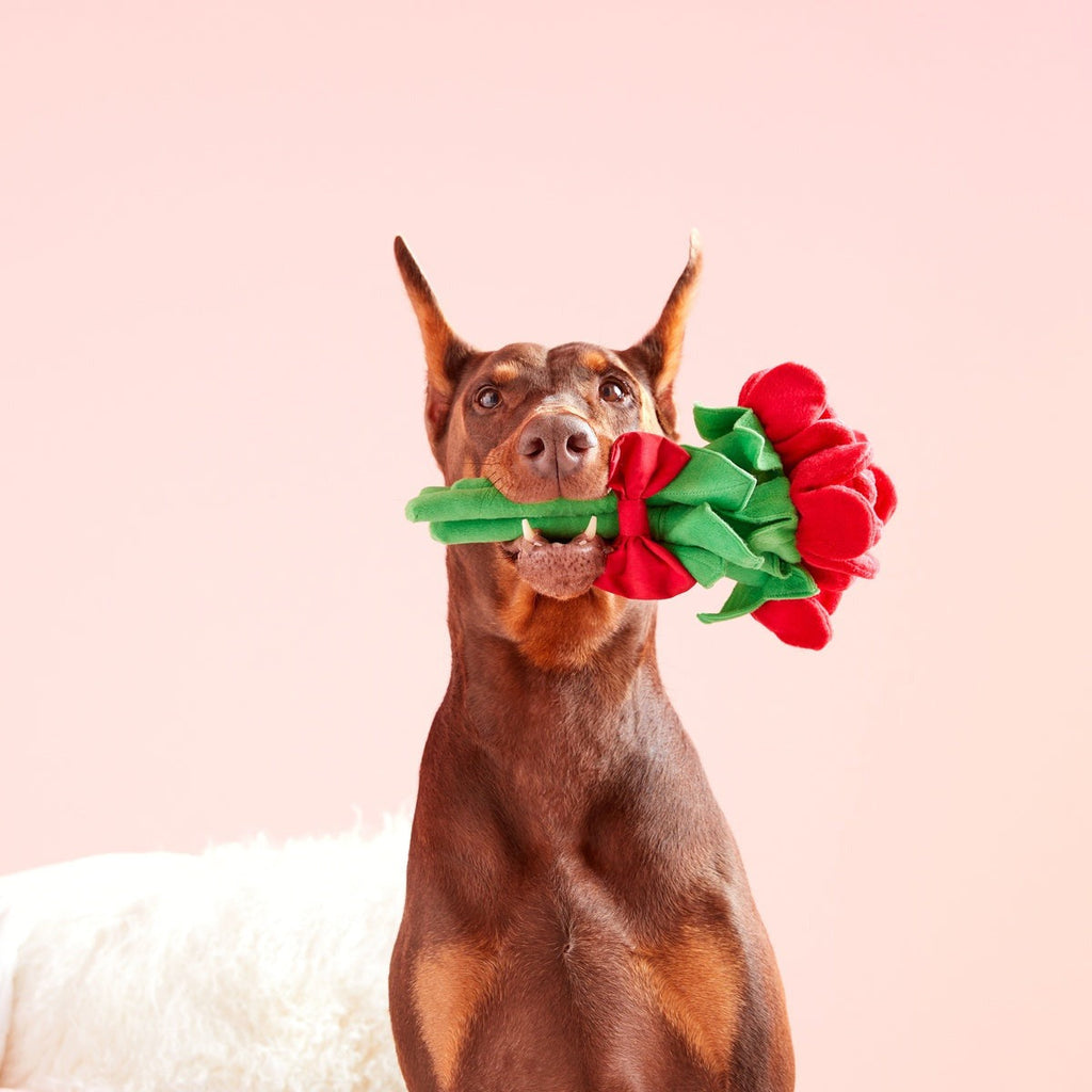 Bouquet of Roses Plush Multi-Part + Tug Dog Toy