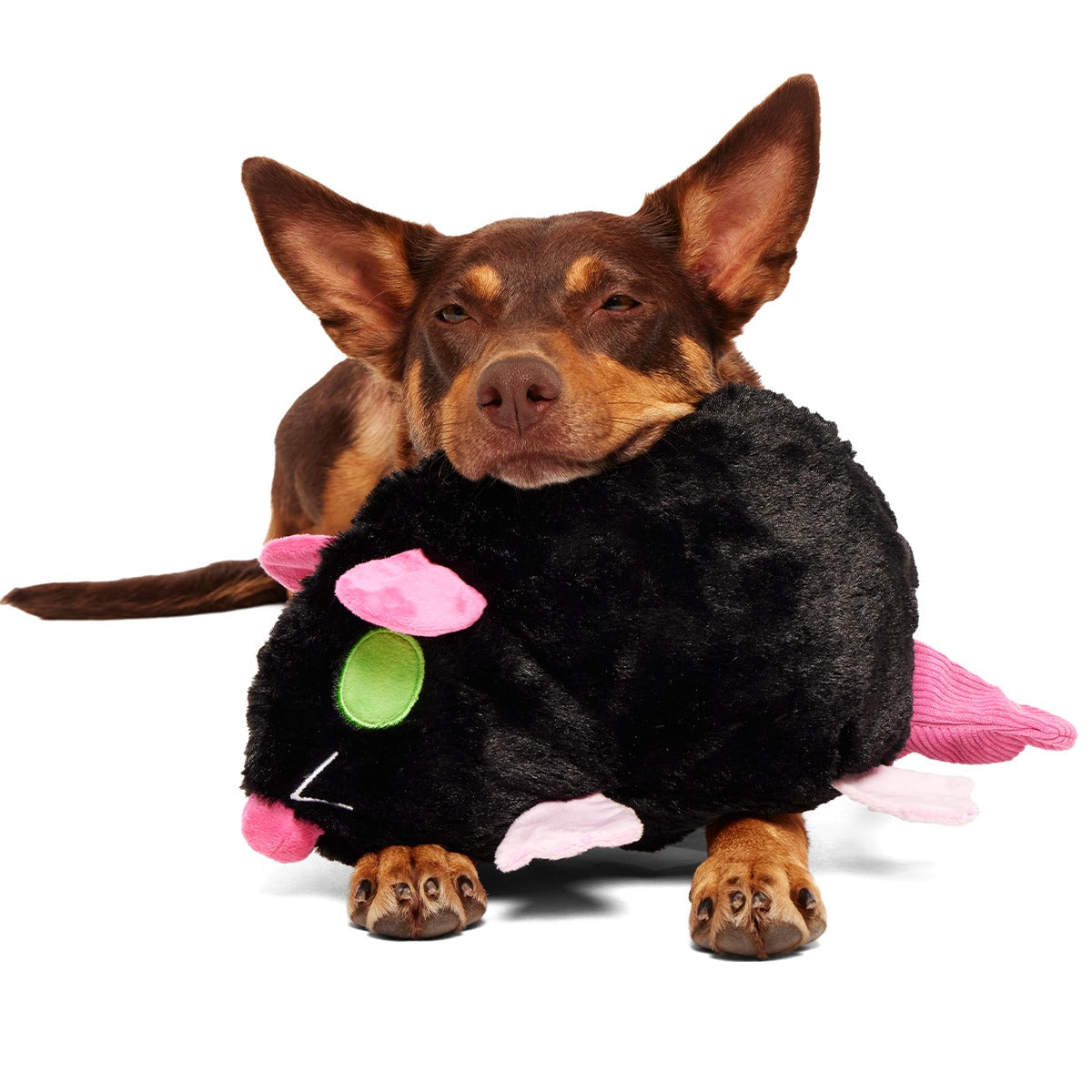 Rat-A-Chewy Plush Extra-Large + 2-in-1 + Tug Dog Toy