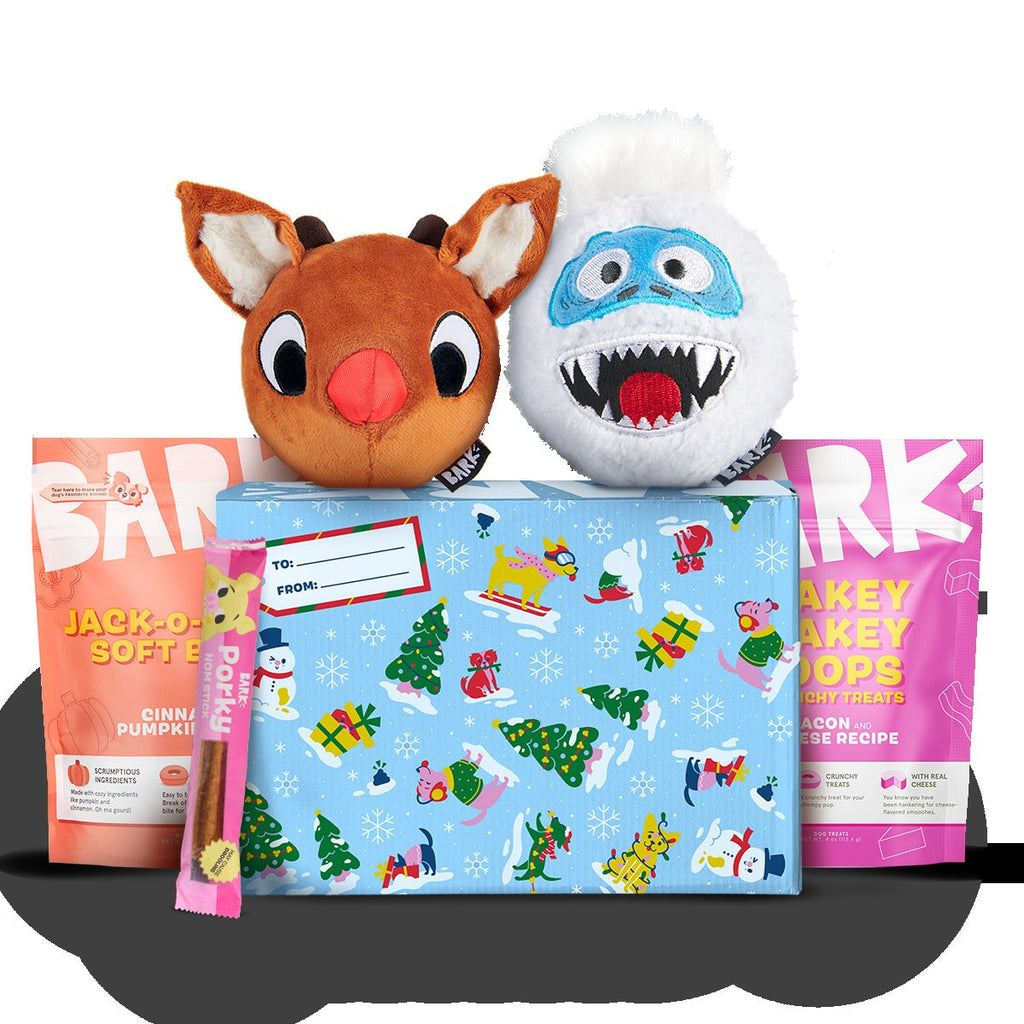 Rudolph® Holiday Super Chewer Gift Box