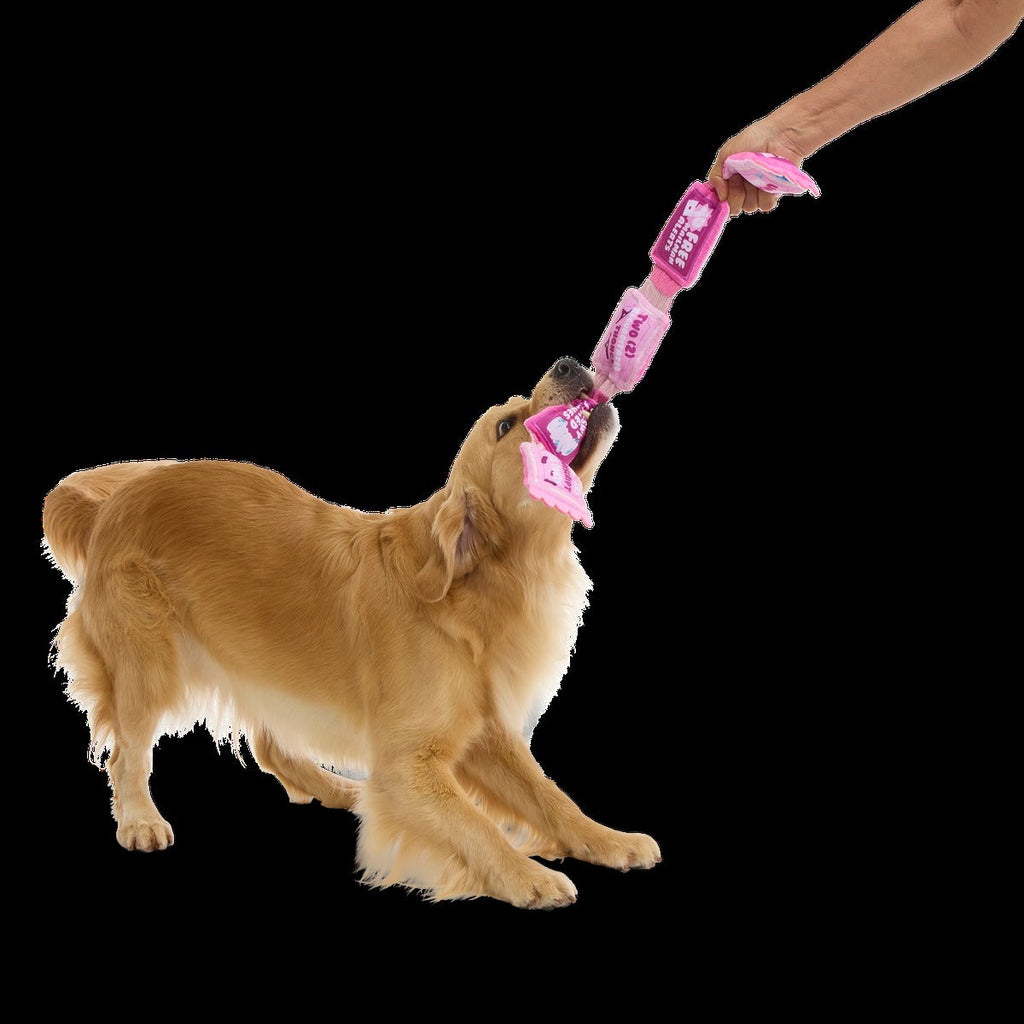 Puppy Love Coupons Plush Tug Dog Toy