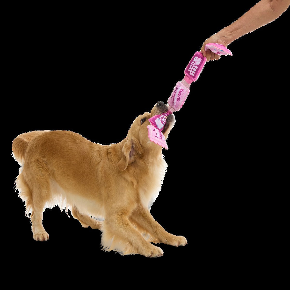 Puppy Love Coupons Plush Tug Dog Toy