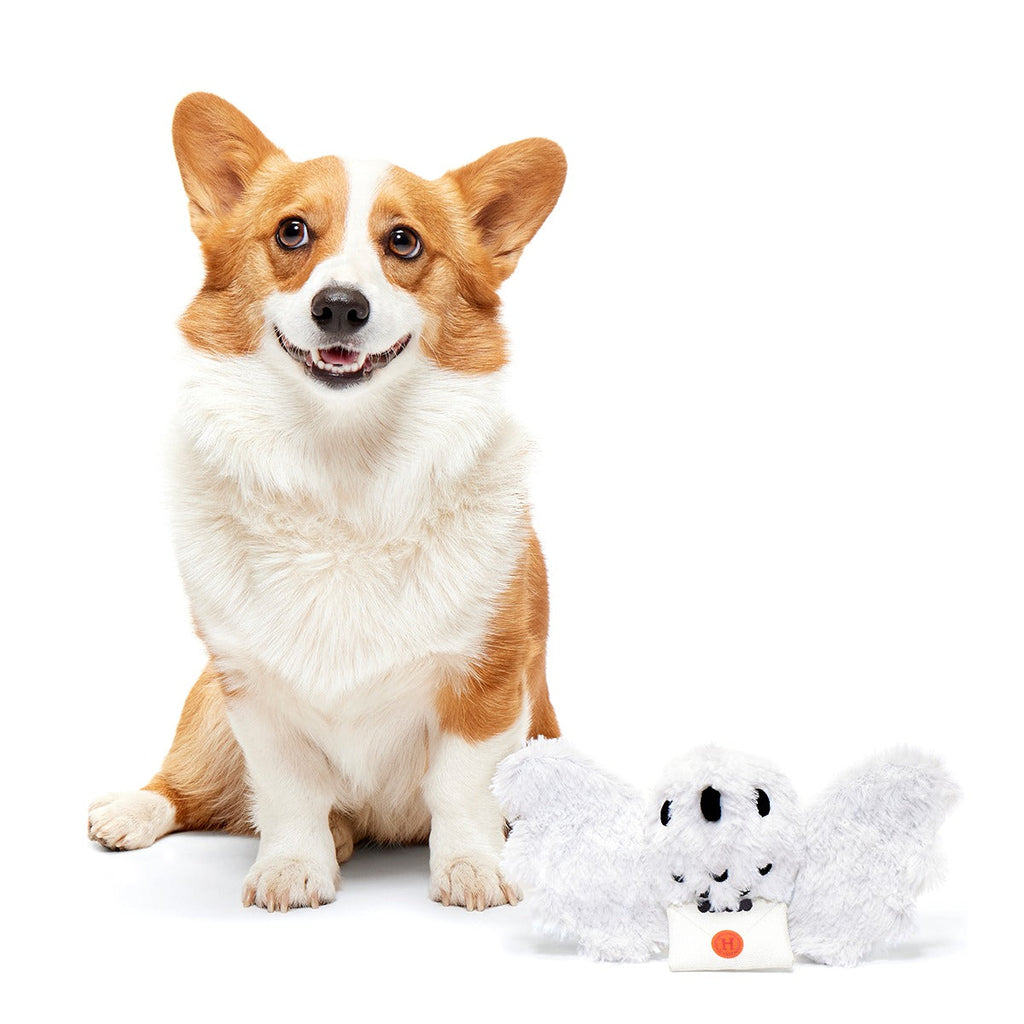 HedwigTM Plush Tug Dog Toy