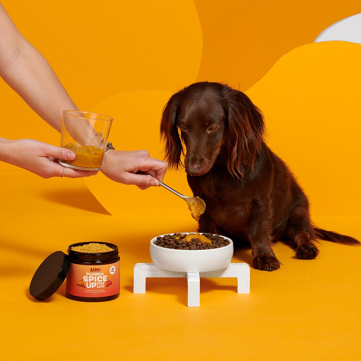 Pumpkin Spice, And Everything Nice Vegetarian Dog Food Meal Topper