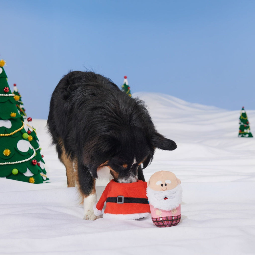 Rudolph® Holiday Gift BarkBox
