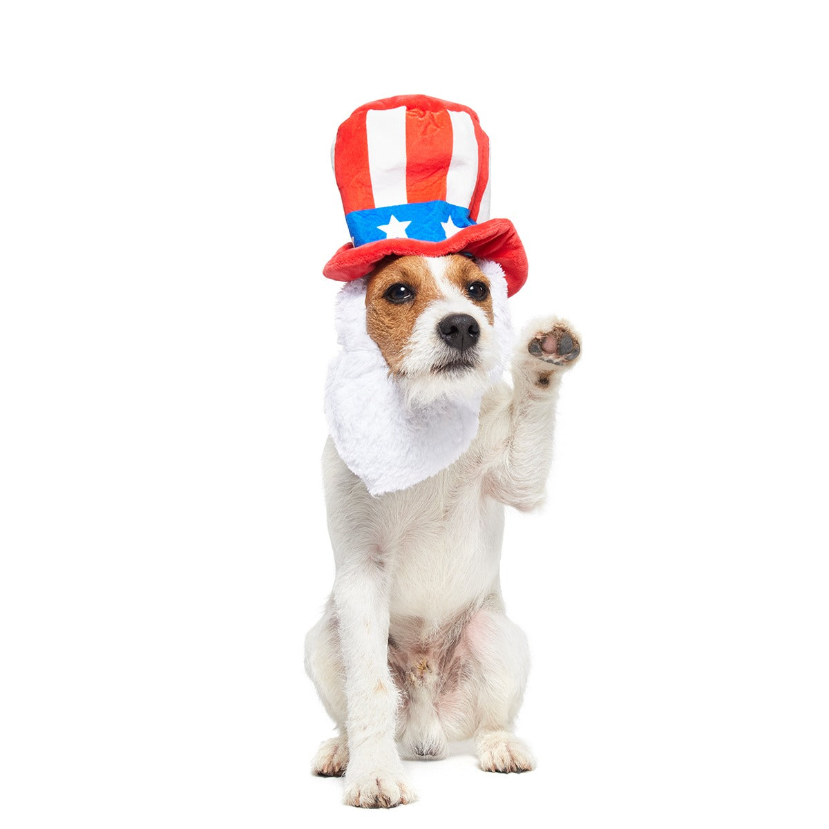 Dog Bless America Plush Wearable + Tug Dog Toy
