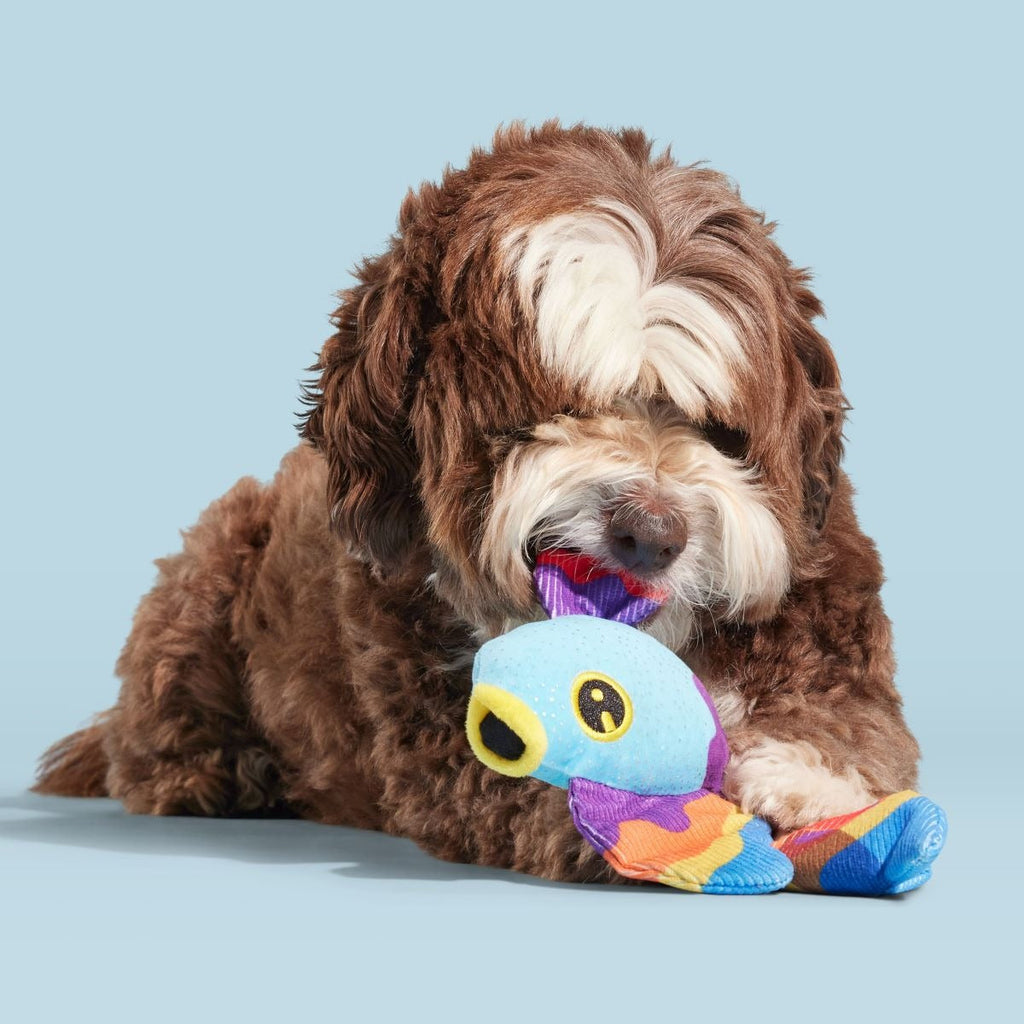 Beta Boop Plush Tug Dog Toy