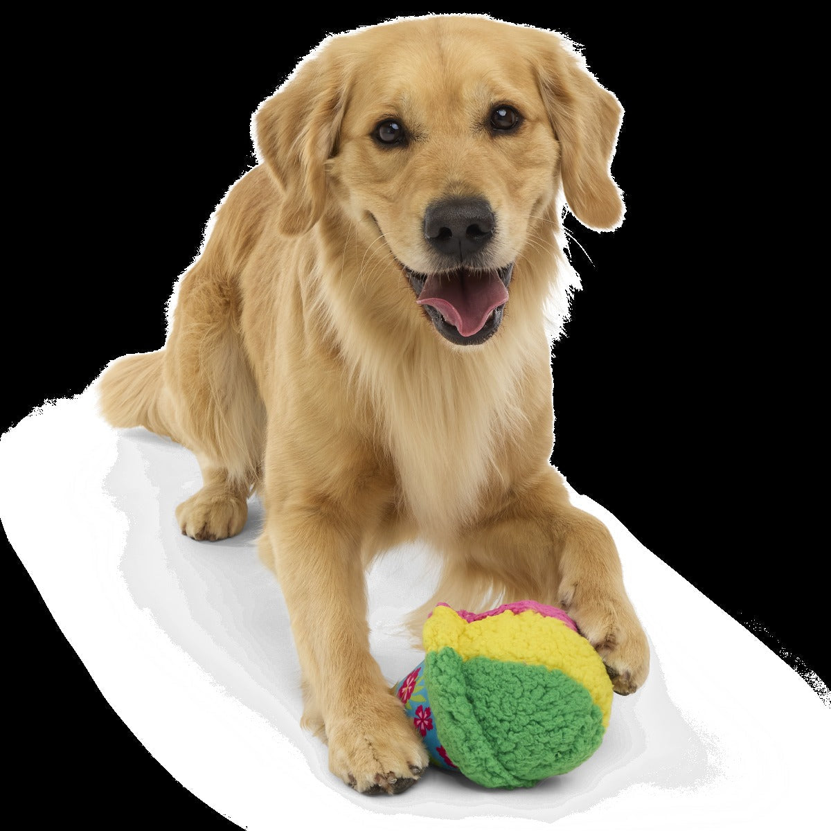 A-Sno-Ha Cone Plush Fetch Dog Toy