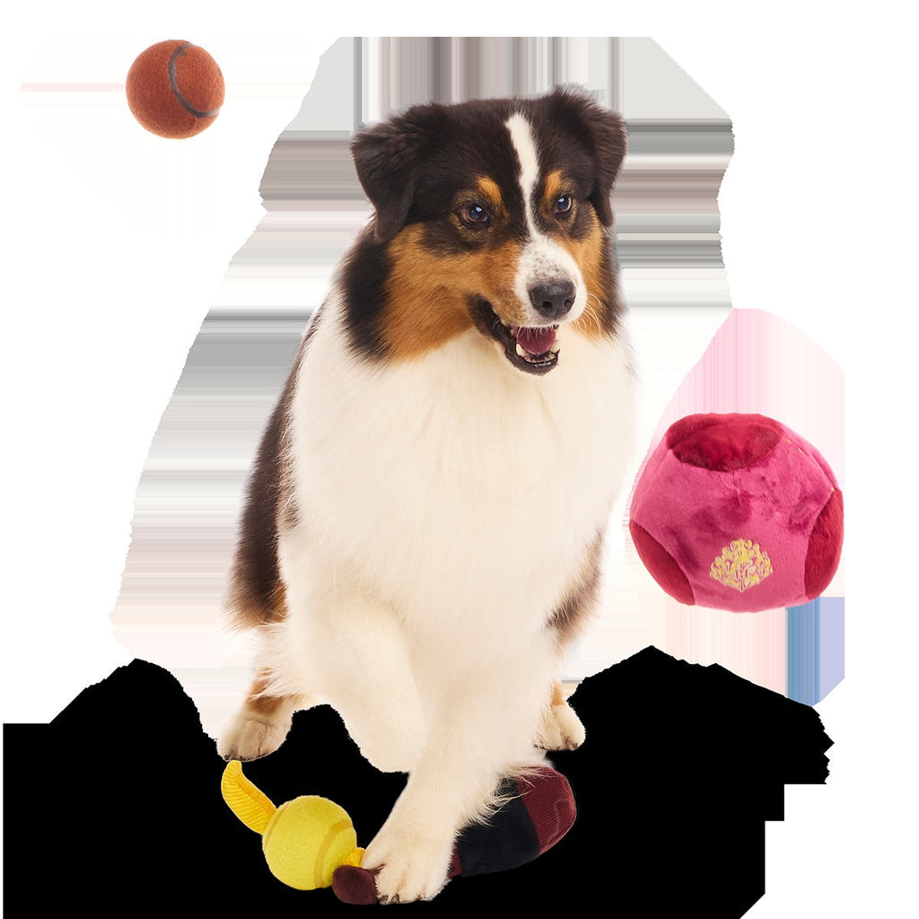 QuidditchTM Equipment Pack Plush Multi-Part + Fetch Dog Toy