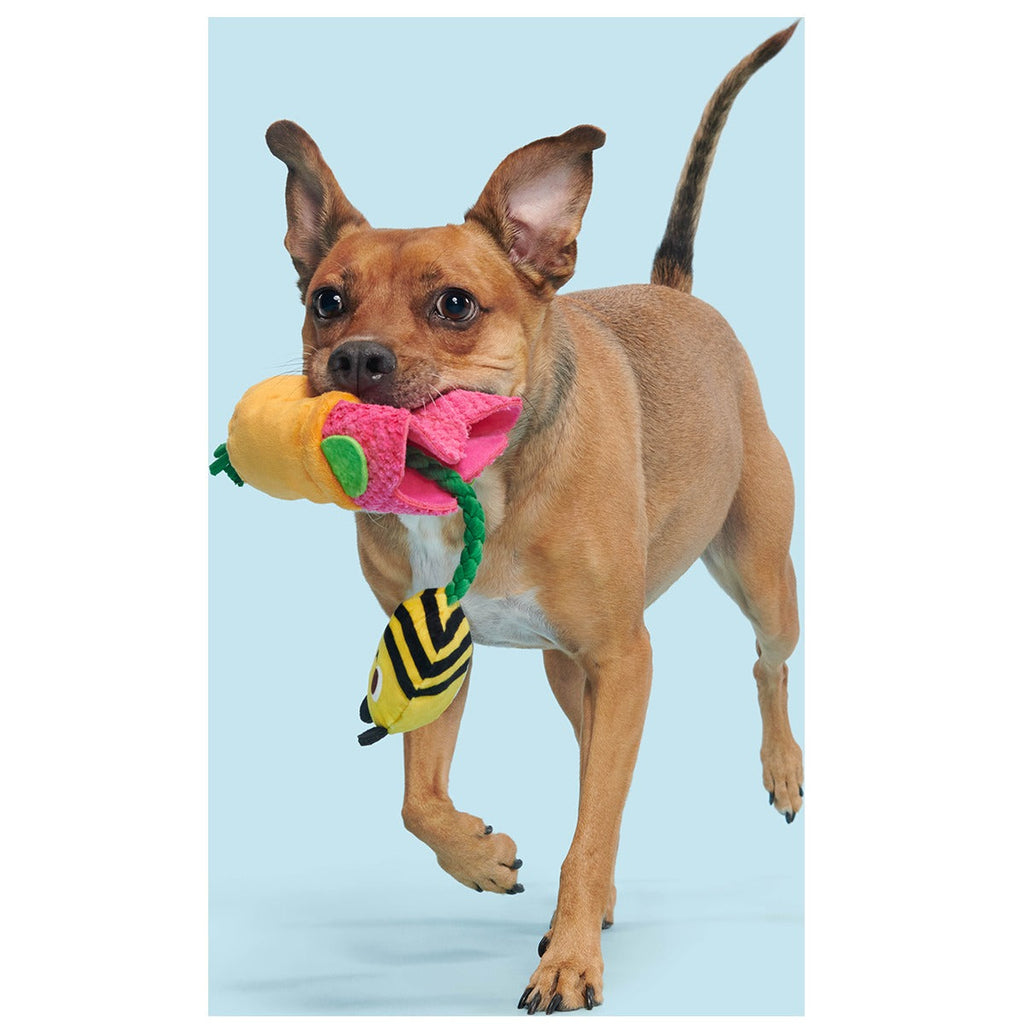 Pollen Nate Plush Tug + Fetch Dog Toy