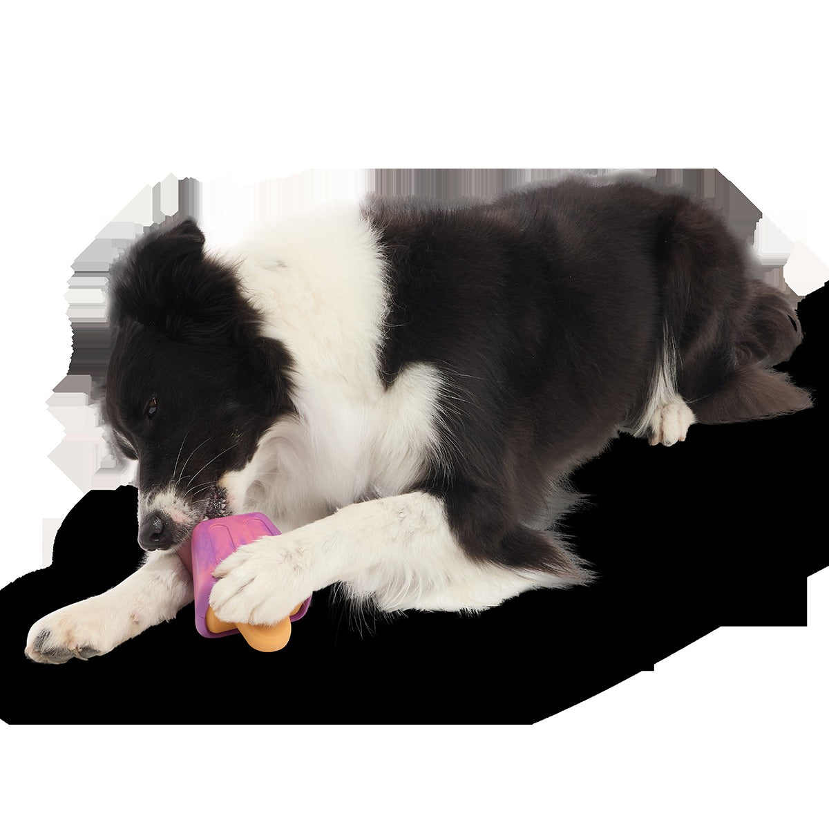 Chill N' Chomp Ice Pop Kit Super Chewer Durable Enrichment Dog Toy