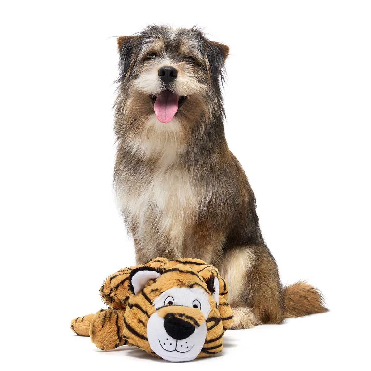 Benji the Bouncing Tiger Plush Extra-Large + Tug Dog Toy