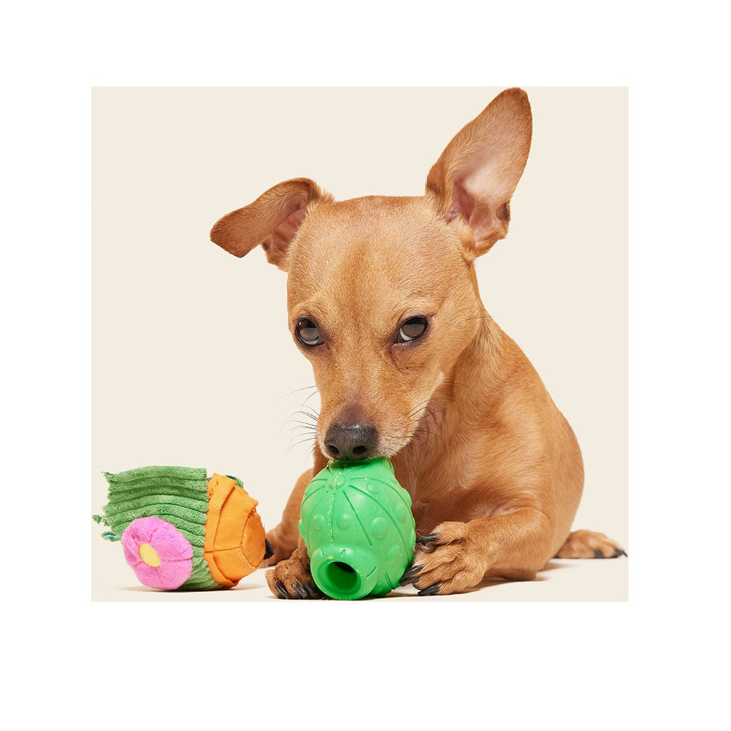 Snactus Super Chewer Durable 2-in-1 + Enrichment Dog Toy