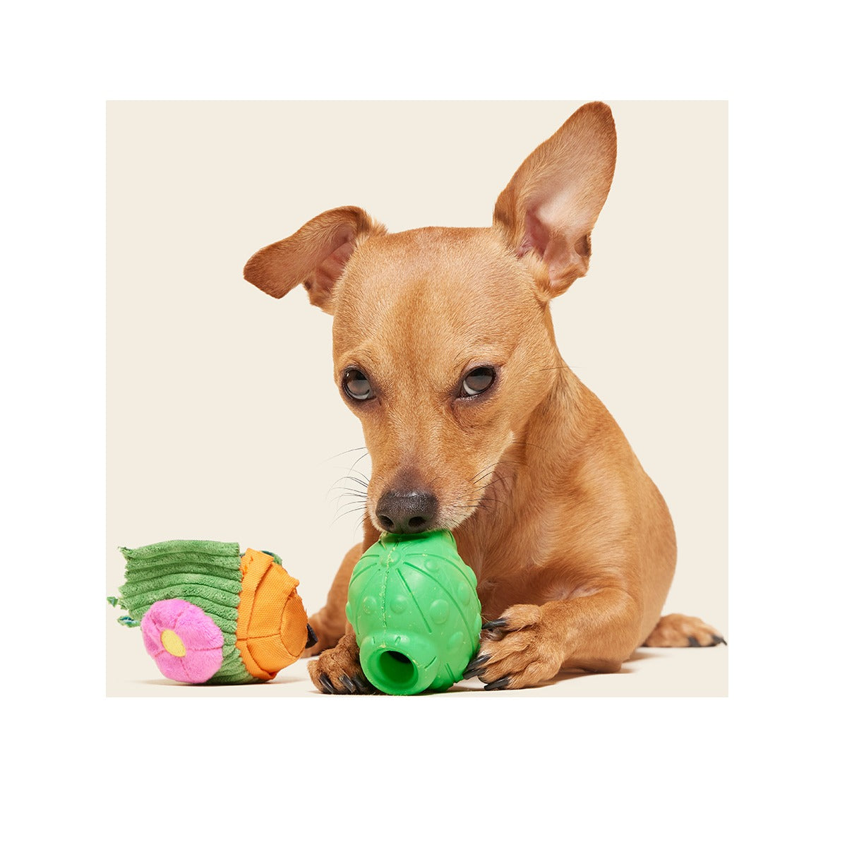 Snactus Super Chewer Durable 2-in-1 + Enrichment Dog Toy