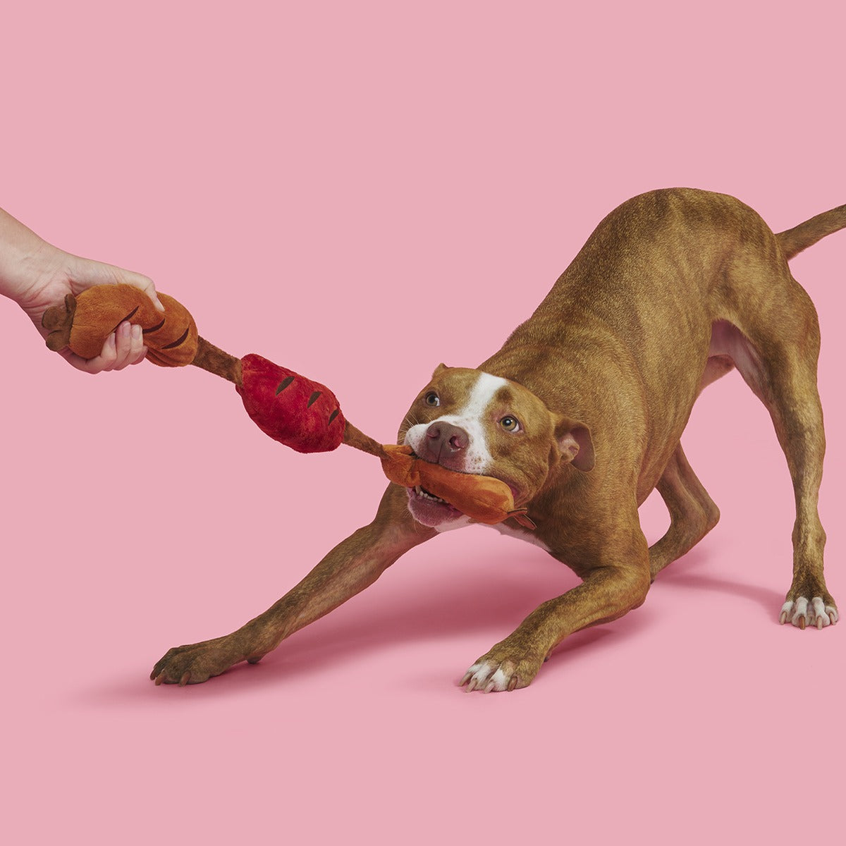 Lickin’ Links Plush Tug Dog Toy