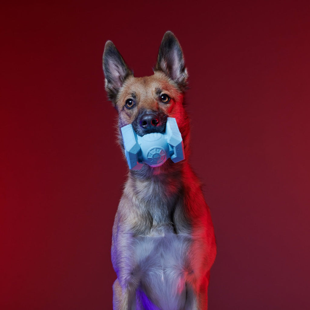TIE FighterTM Biter Super Chewer Durable Fetch + Gnaw Dog Toy