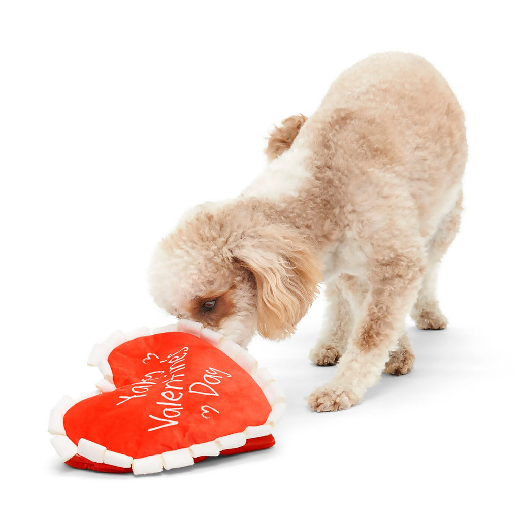 Be Mine Growlentine Plush Enrichment Dog Toy