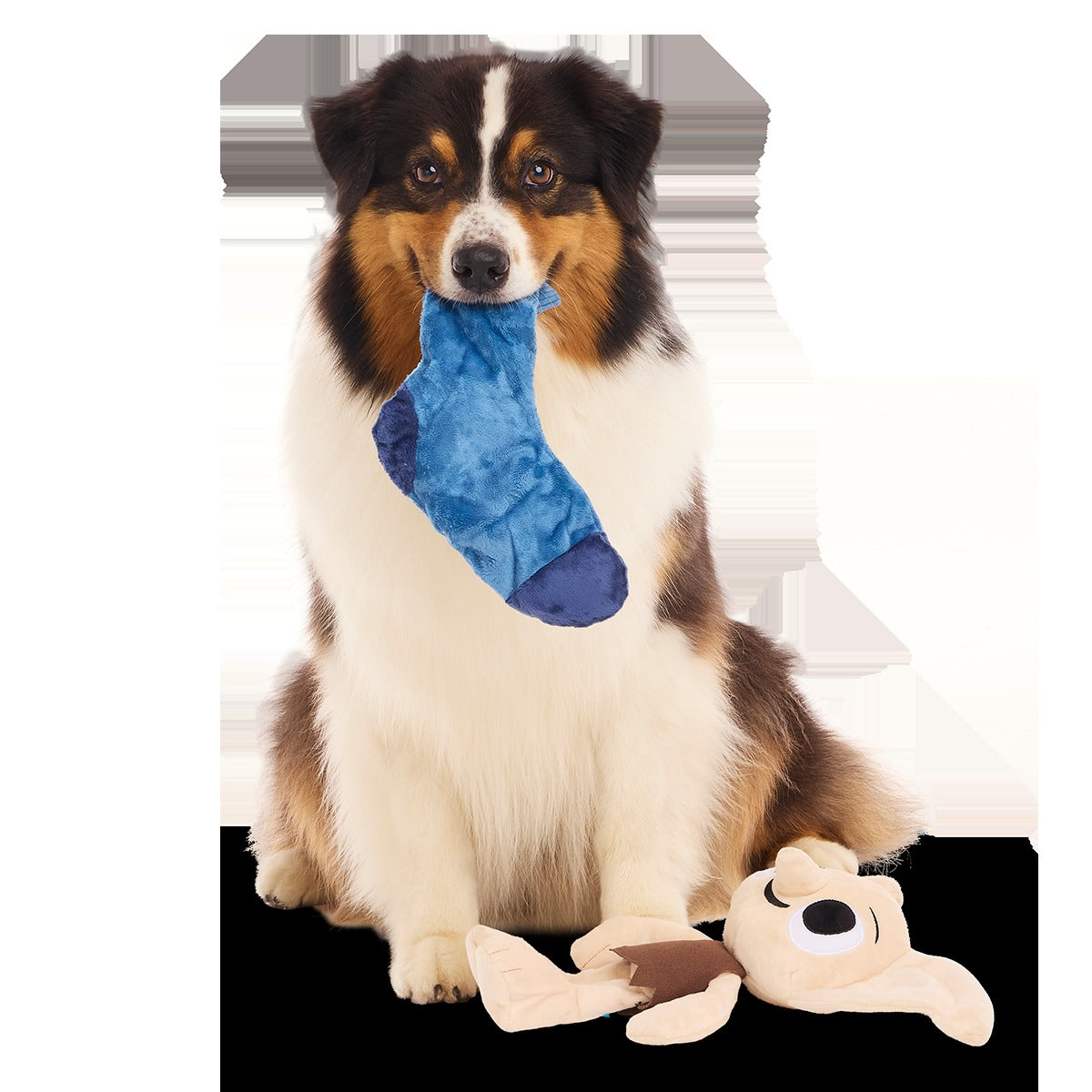DobbyTM Plush 2-in-1 + Tug Dog Toy