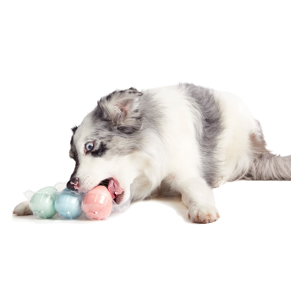 Easter Funday Bundle Super Chewer Durable Multi-Part + Fetch Dog Toy