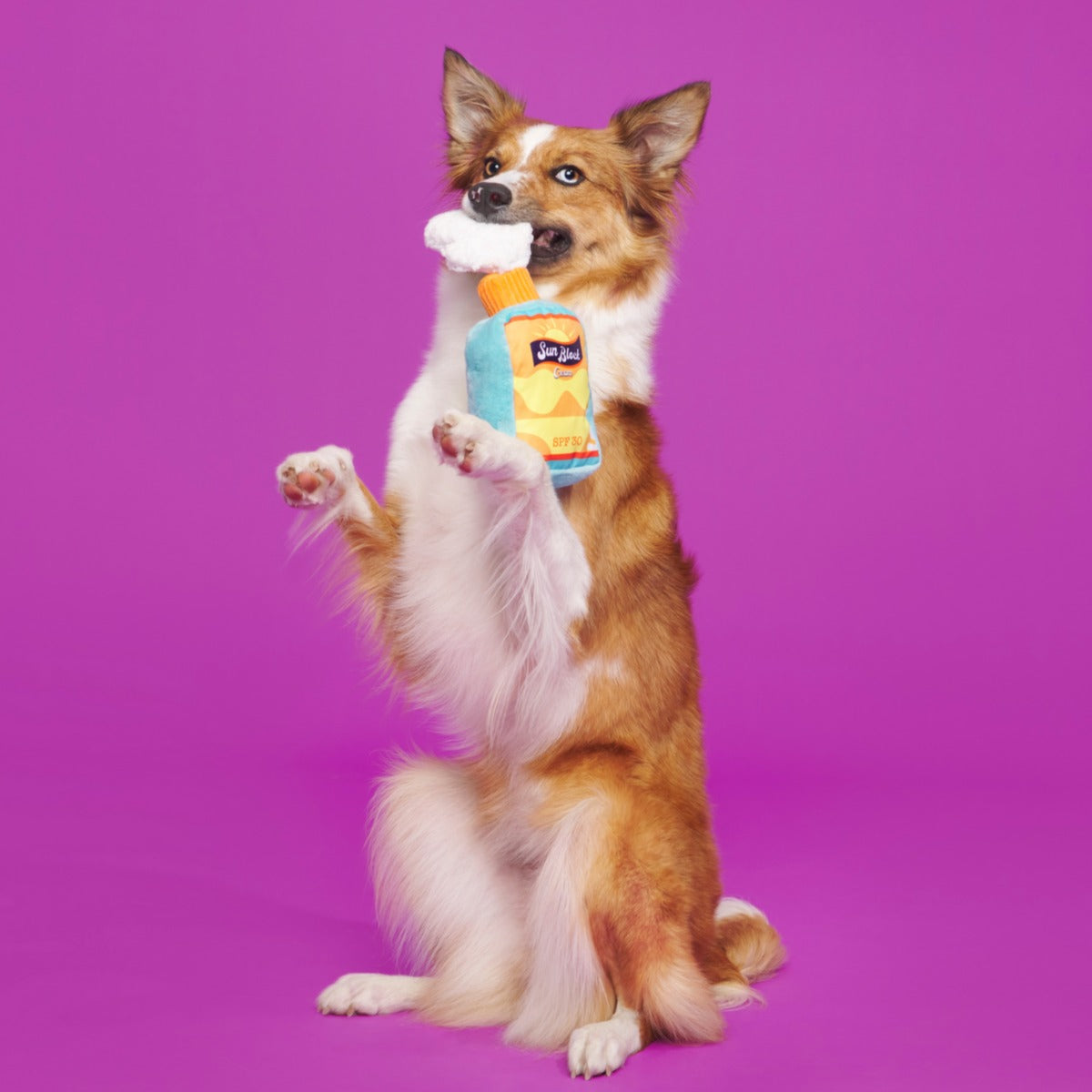 Sunsqueak Plush Tug Dog Toy