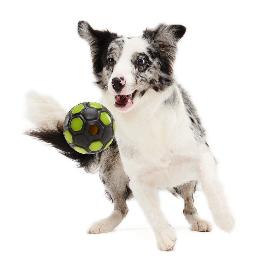 World Pup Snacker Ball Super Chewer Durable Enrichment + Fetch Dog Toy