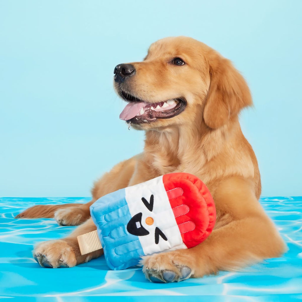 Rocket Droosicle Plush Tug Dog Toy