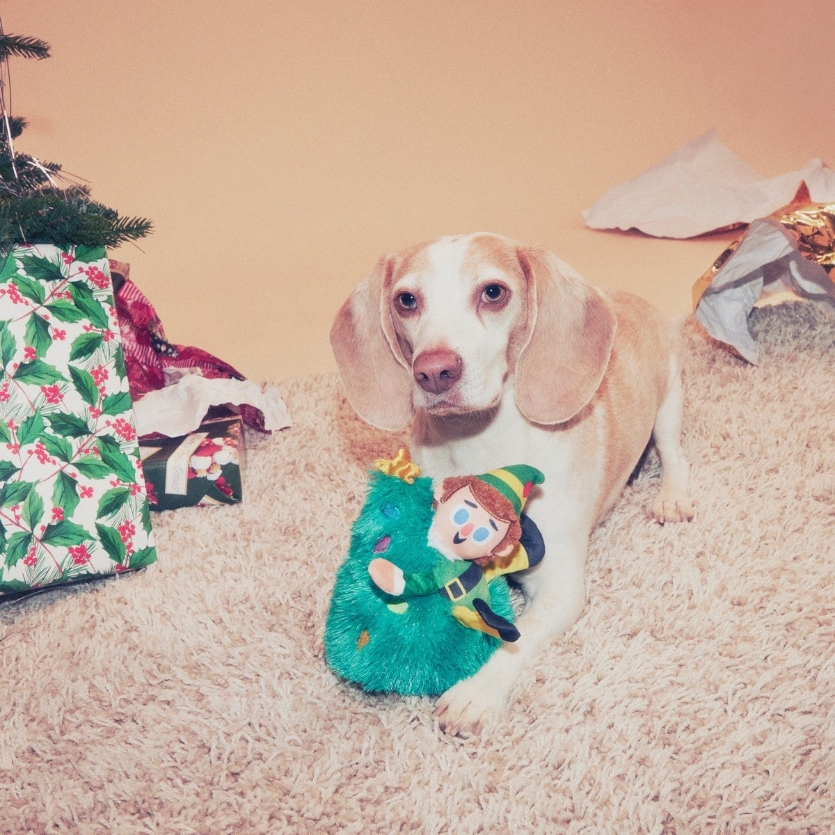 Tree Topper BuddyTM Plush Dog Toy
