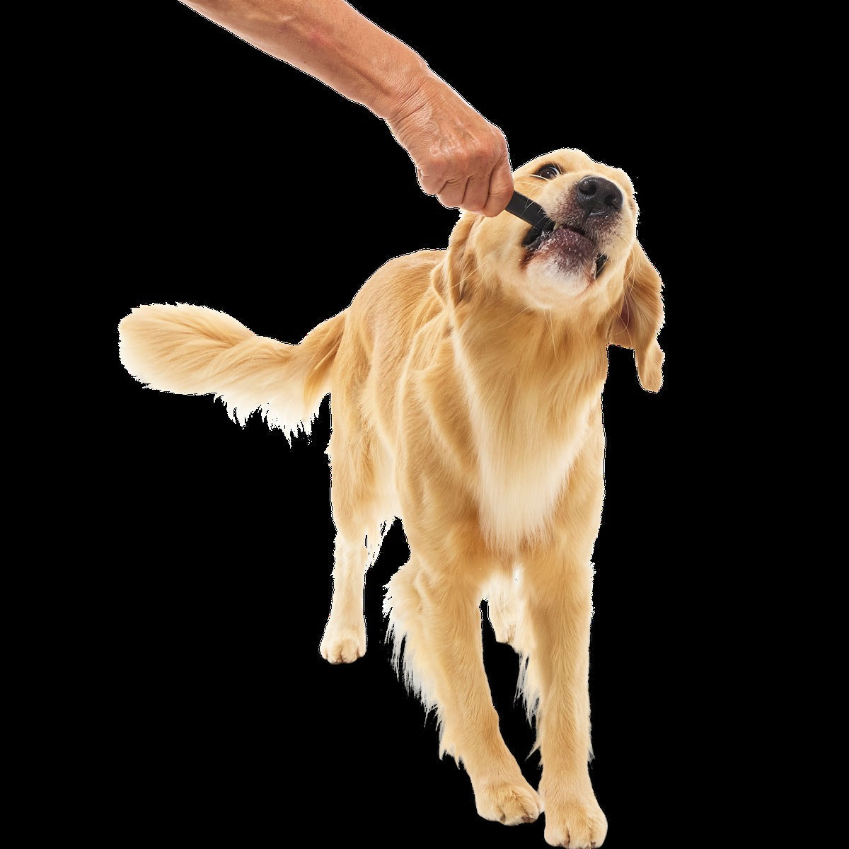 Beef Collagen Dog Chews, 5 Ct