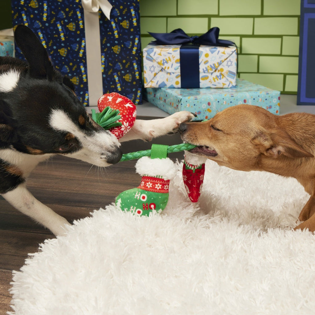 Stocking Tuggers Plush Tug Dog Toy