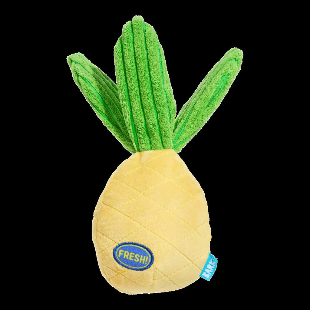 Spiky Pineyapple Plush Tug Dog Toy