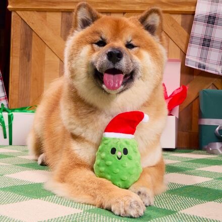 Pickle Claus Plush Tug Dog Toy