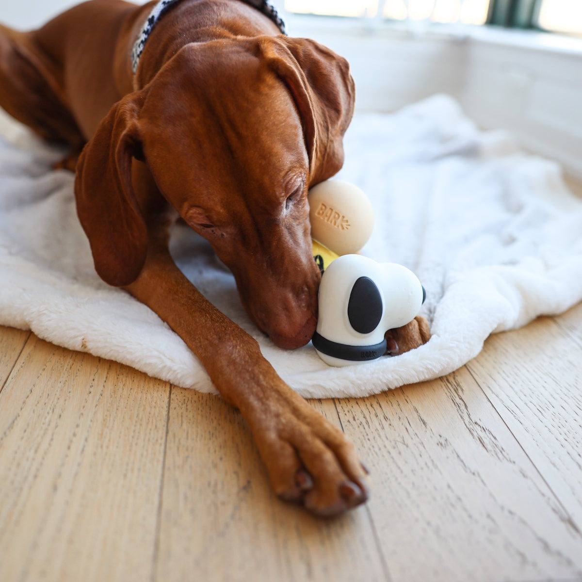Snoopy Durable Super Chewer Dog Toy