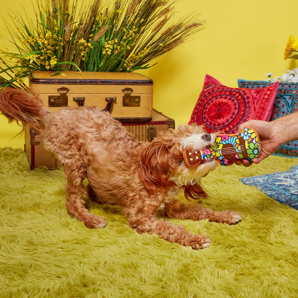 Guitar Licks Plush Tug Dog Toy