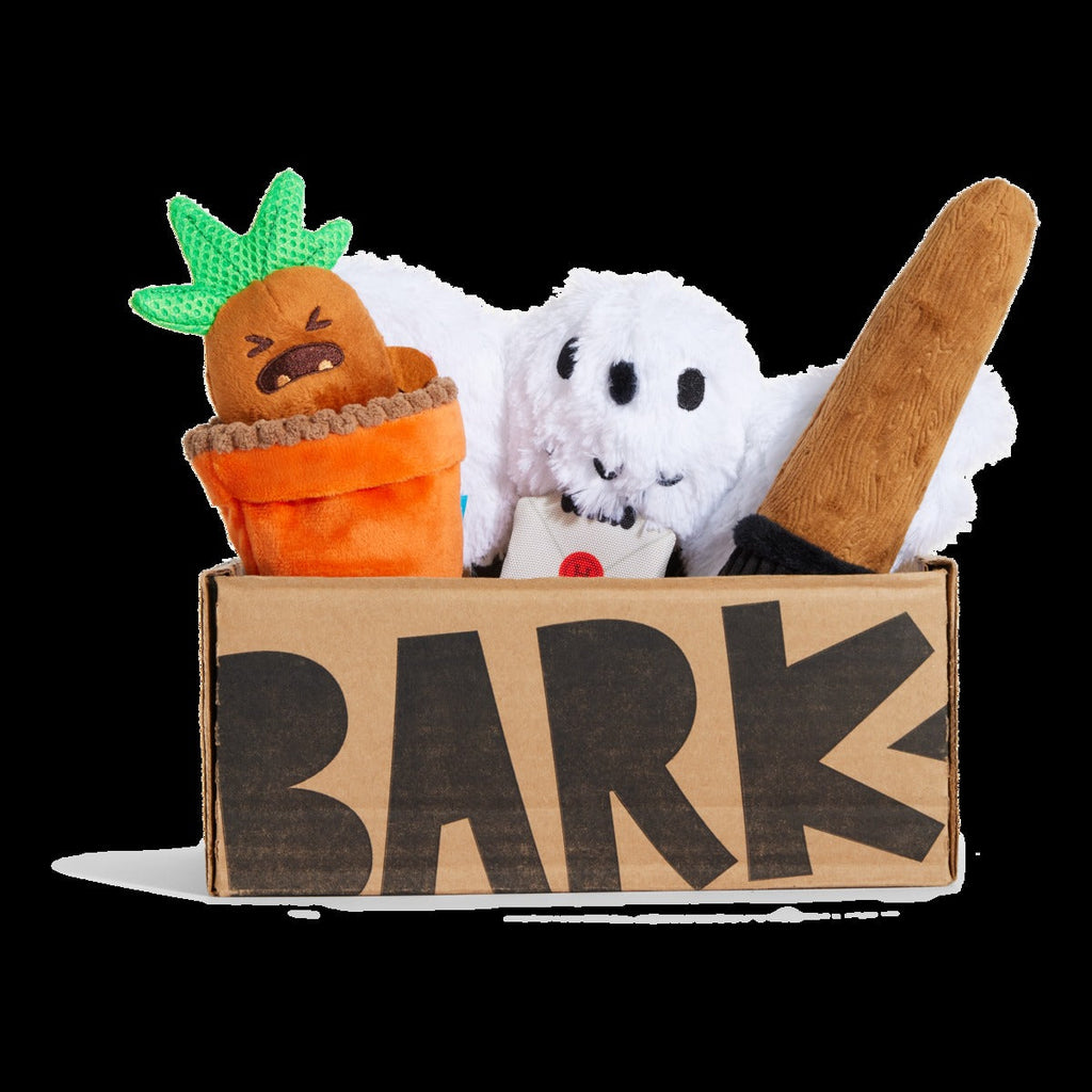 HARRY POTTERTM BarkBox - One Month Gift Box